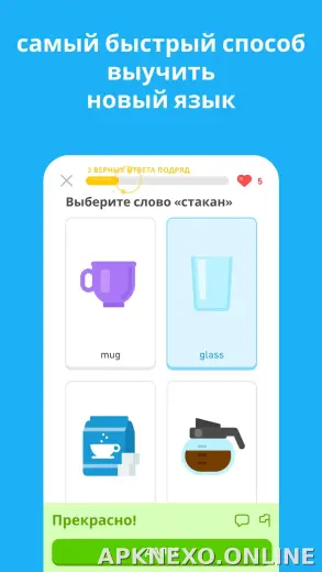 Дуолинго скриншот 5