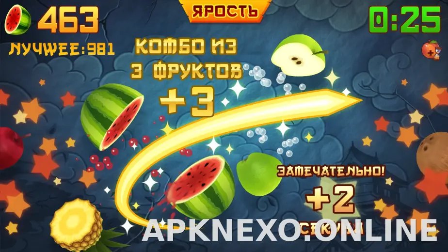 Fruit Ninja скриншот 4