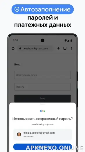 Google Chrome скриншот 6