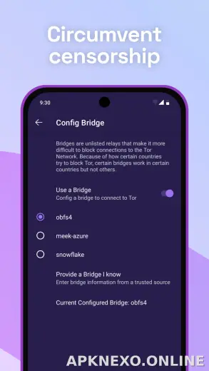 Tor Browser скриншот 2